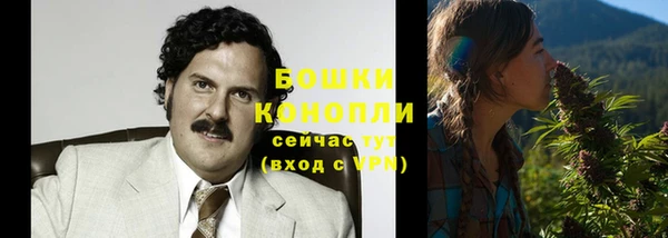 МДПВ Михайловск