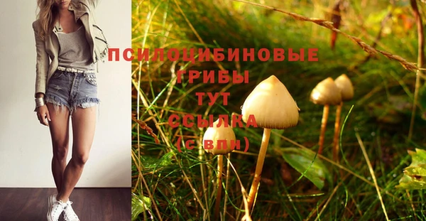 МДПВ Михайловск