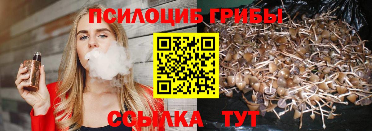 Галлюциногенные грибы мицелий Брянск